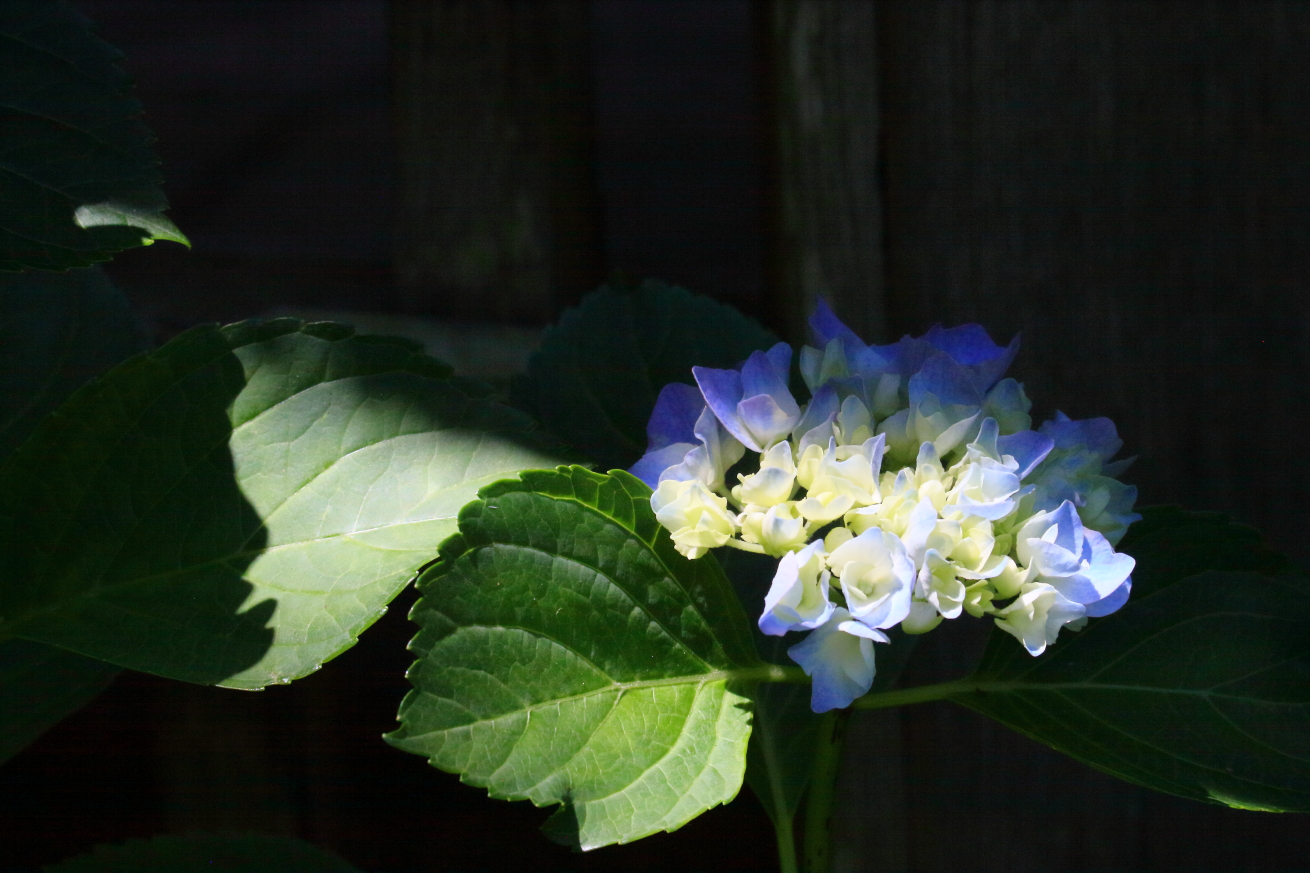 2015 06 24 HTP 000068600e